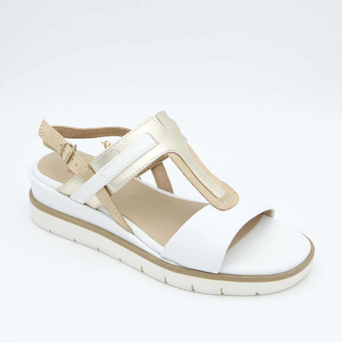 00919_8|88aceb1d4d98ba0feede0d0a5dc34067